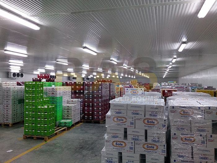 1573109905572305.jpg timg (4).jpg