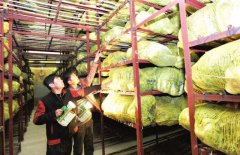1000立方果蔬保鮮庫(kù)設(shè)計(jì)安裝要多少錢？