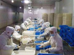 3000立方水產(chǎn)魚蝦冷藏庫(kù)更新造價(jià)單