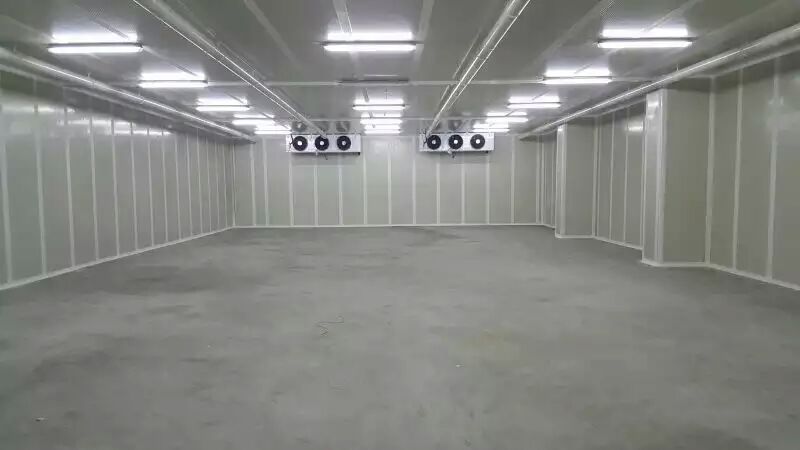 800噸水果氣調(diào)保鮮庫 800噸水果氣調(diào)保鮮庫