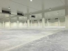 新建1000平方農產品冷藏庫大概要多少錢？