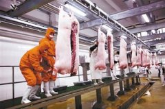 冷庫造價應該如何計算？1000噸凍肉冷庫大概多少錢？