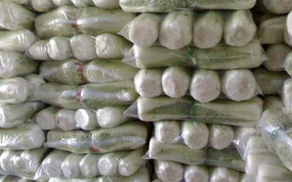 白菜保鮮冷庫(kù)建設(shè)