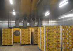 安裝一個芒果保鮮庫設(shè)計方案，芒果冷庫工程造價