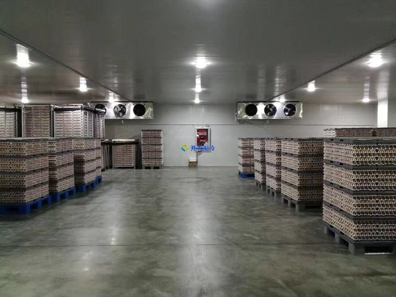 葡萄保鮮庫建造及設(shè)計(jì)造價(jià)，葡萄冷庫儲(chǔ)存方法