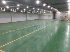 700平米水果冷庫造價多少，0-5℃保鮮庫建造一平價格