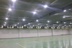 300噸西紅柿保鮮庫造價，西紅柿冷藏庫設計