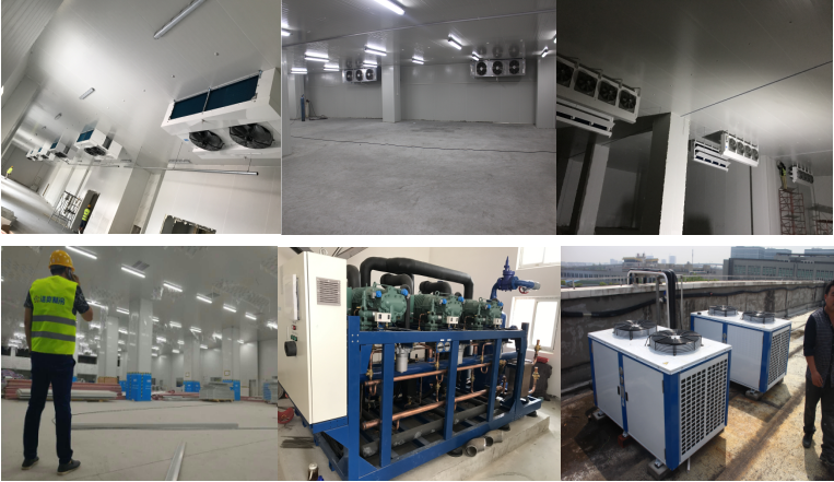 http://www.yilaite.com.cn/gongchenganli/shipin/1230.html