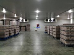 安裝1300噸水果冷藏庫預算是多少？后期用電能耗大嗎？