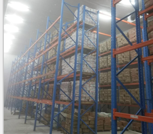 廠房面積1500平 生鮮冷庫鋼結構冷庫建造總投資多少?