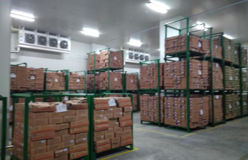 1000噸食品冷凍庫設計，制冷設備大概需要多少錢