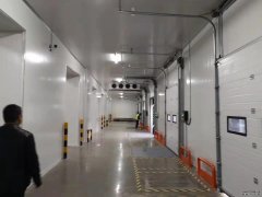 食品批發(fā)冷庫造價及規(guī)劃、食品保鮮、冷凍庫加工廠庫建造