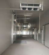 5000m3冷鏈物流工程建設(shè)，低溫物流倉庫安裝制冷設(shè)備投資預算